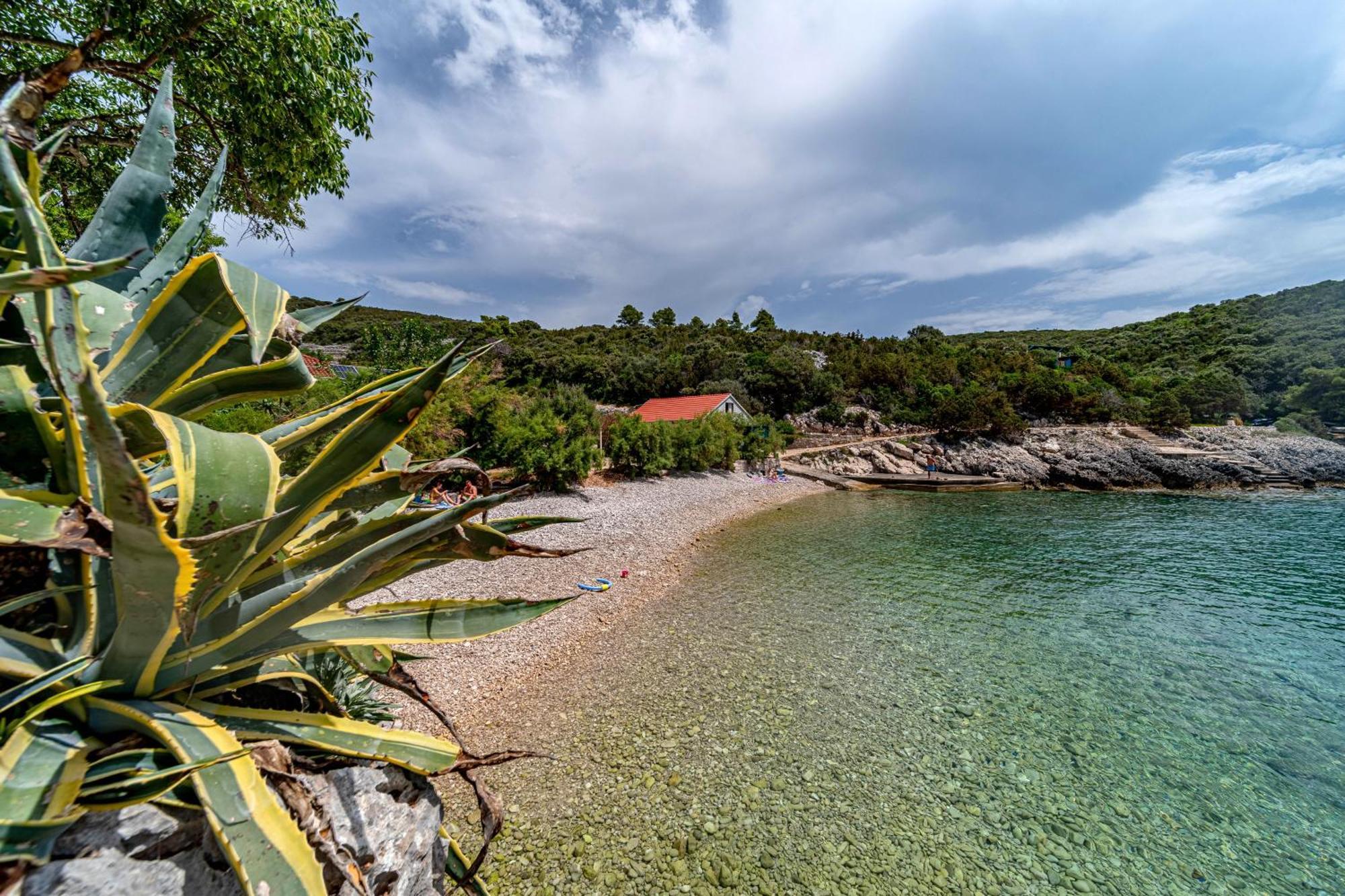 Seaside House For Families With Children Cove Rasohatica, Korcula - 4386 룸바르다 외부 사진